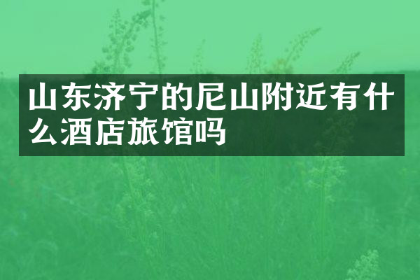 山东济宁的尼山附近有什么酒店旅馆吗