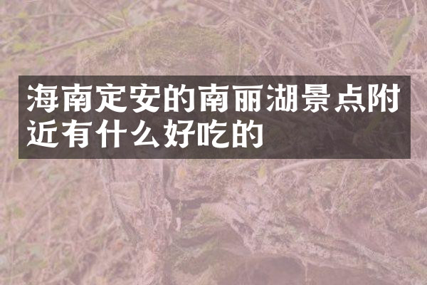 海南定安的南丽湖景点附近有什么好吃的
