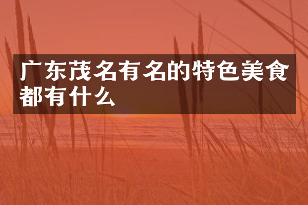 广东茂名有名的特色美食都有什么