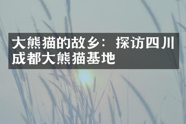 大熊猫的故乡：探访四川成都大熊猫基地