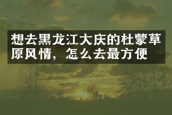 想去黑龙江大庆的杜蒙草原风情，怎么去最方便
