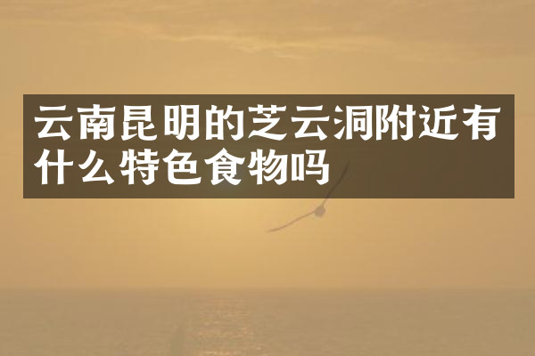 云南昆明的芝云洞附近有什么特色食物吗