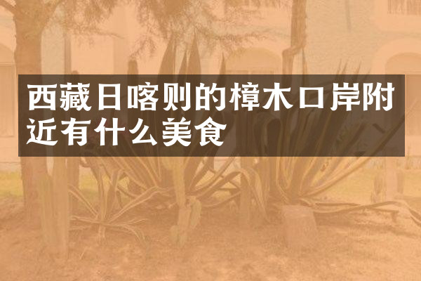 西藏日喀则的樟木口岸附近有什么美食