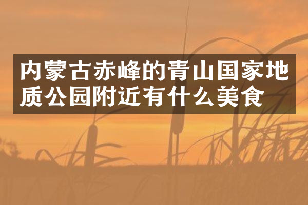内蒙古赤峰的青山国家地质公园附近有什么美食