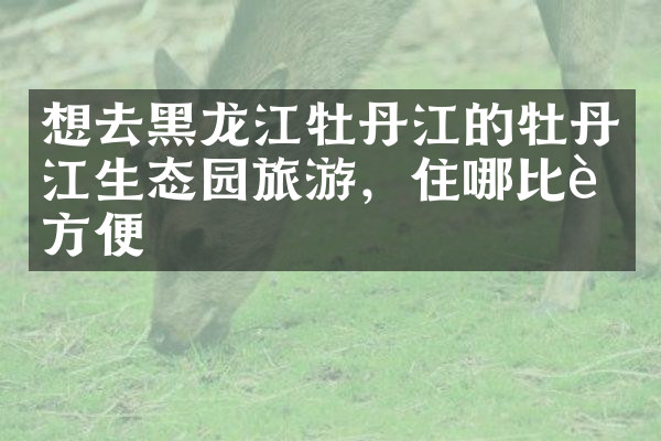 想去黑龙江牡丹江的牡丹江生态园旅游，住哪比较方便