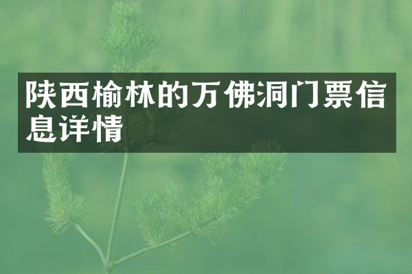 陕西榆林的万佛洞门票信息详情