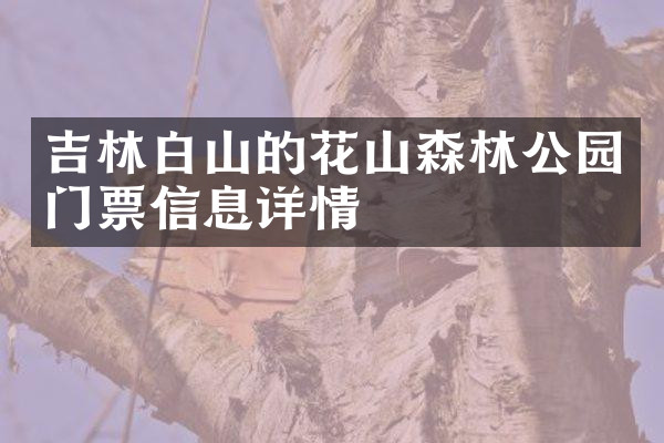 吉林白山的花山森林公园门票信息详情