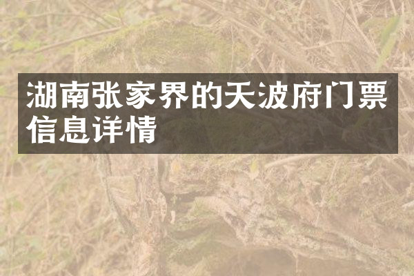 湖南张家界的天波府门票信息详情
