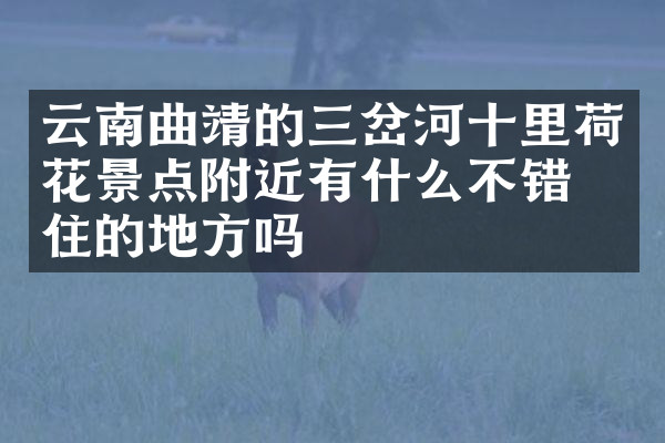 云南曲靖的三岔河十里荷花景点附近有什么不错的住的地方吗
