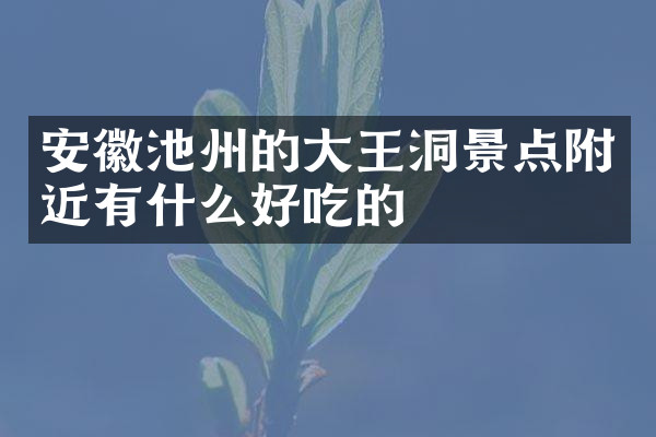 安徽池州的大王洞景点附近有什么好吃的
