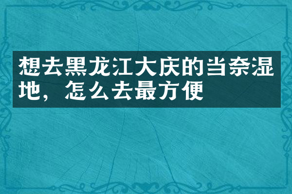 想去黑龙江大庆的当奈湿地，怎么去最方便