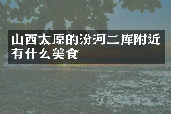 山西太原的汾河二库附近有什么美食