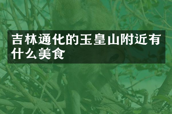 吉林通化的玉皇山附近有什么美食