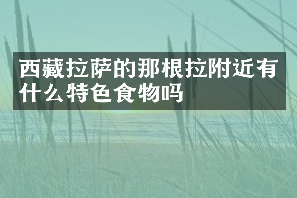 西藏拉萨的那根拉附近有什么特色食物吗
