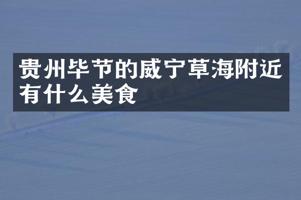 贵州毕节的威宁草海附近有什么美食