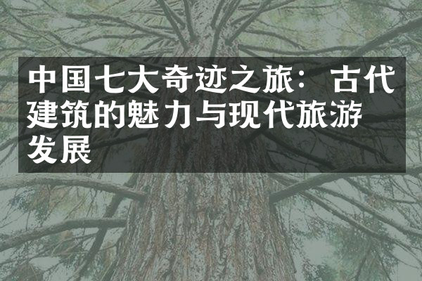中国七大奇迹之旅：古代建筑的魅力与现代旅游的发展