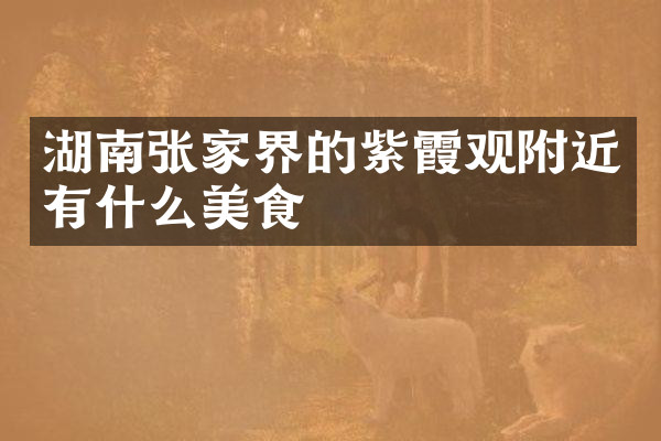 湖南张家界的紫霞观附近有什么美食