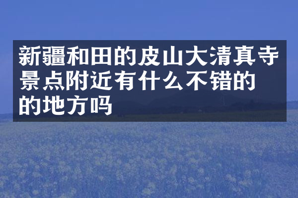 新疆和田的皮山大清真寺景点附近有什么不错的住的地方吗