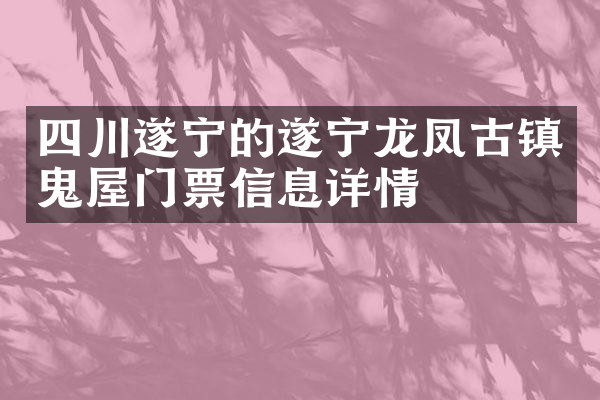 四川遂宁的遂宁龙凤古镇鬼屋门票信息详情