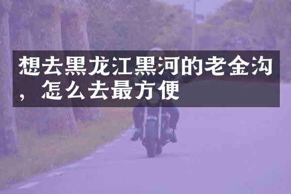 想去黑龙江黑河的老金沟，怎么去最方便