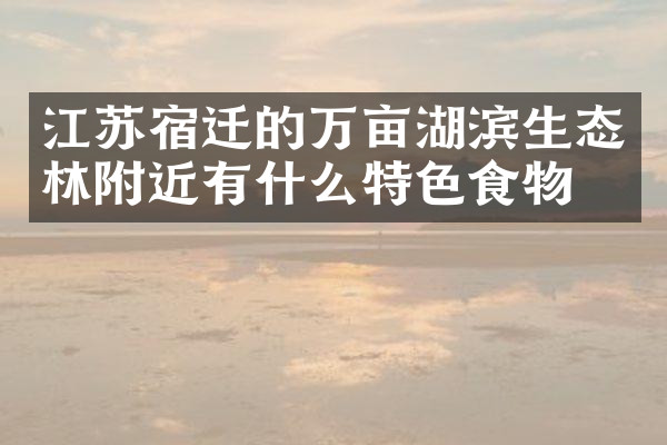 江苏宿迁的万亩湖滨生态林附近有什么特色食物吗