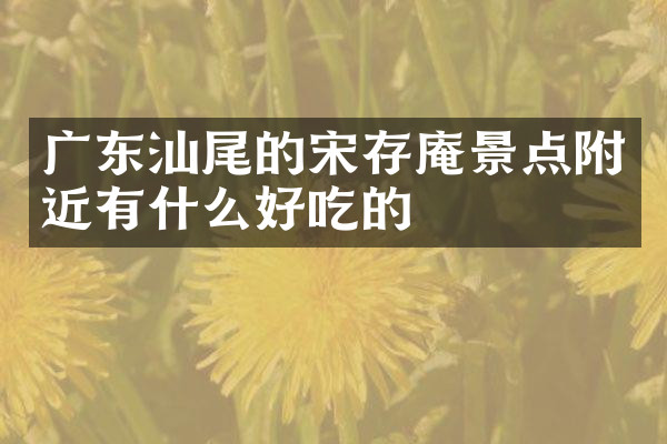广东汕尾的宋存庵景点附近有什么好吃的