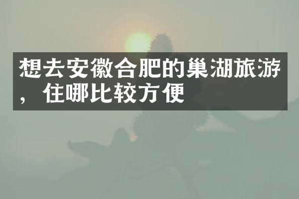 想去安徽合肥的巢湖旅游，住哪比较方便
