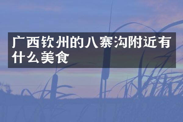 广西钦州的八寨沟附近有什么美食