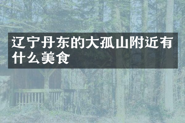 辽宁丹东的大孤山附近有什么美食