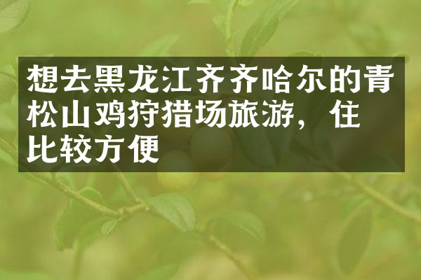 想去黑龙江齐齐哈尔的青松山鸡狩猎场旅游，住哪比较方便