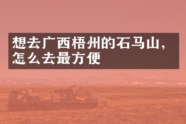 想去广西梧州的石马山，怎么去最方便