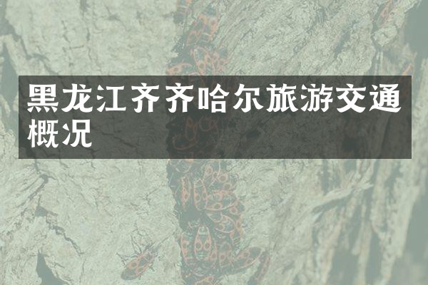 黑龙江齐齐哈尔旅游交通概况