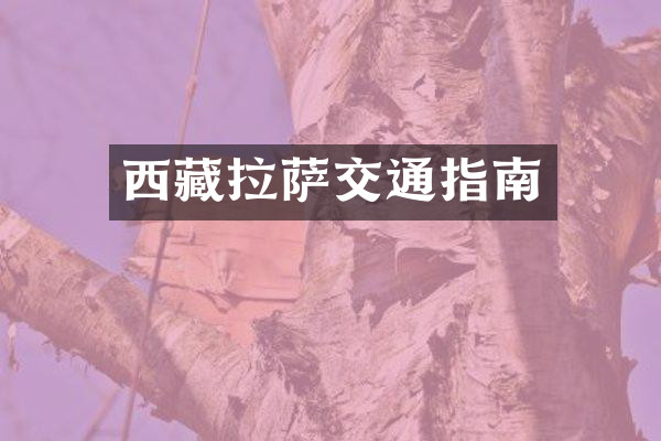 西藏拉萨交通指南