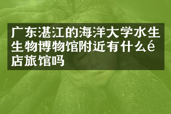 广东湛江的海洋大学水生生物博物馆附近有什么酒店旅馆吗