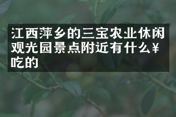 江西萍乡的三宝农业休闲观光园景点附近有什么好吃的