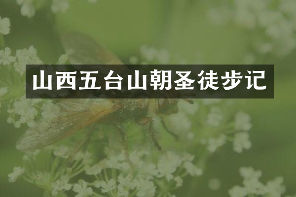 山西五台山朝圣徒步记