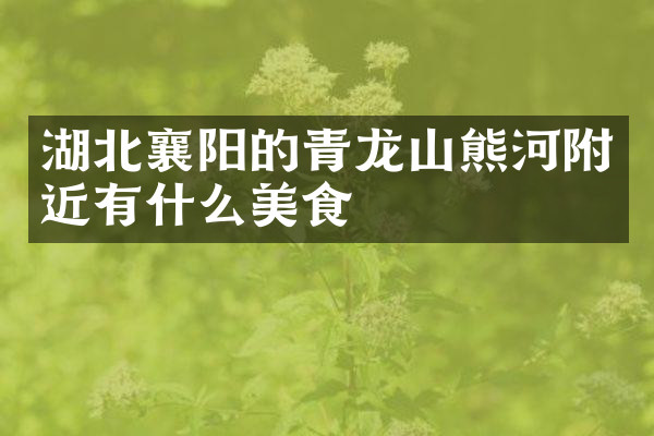 湖北襄阳的青龙山熊河附近有什么美食