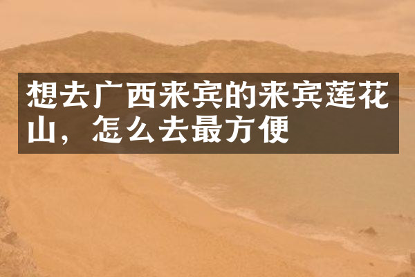 想去广西来宾的来宾莲花山，怎么去最方便
