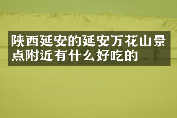 陕西延安的延安万花山景点附近有什么好吃的