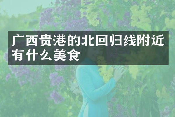 广西贵港的北回归线附近有什么美食