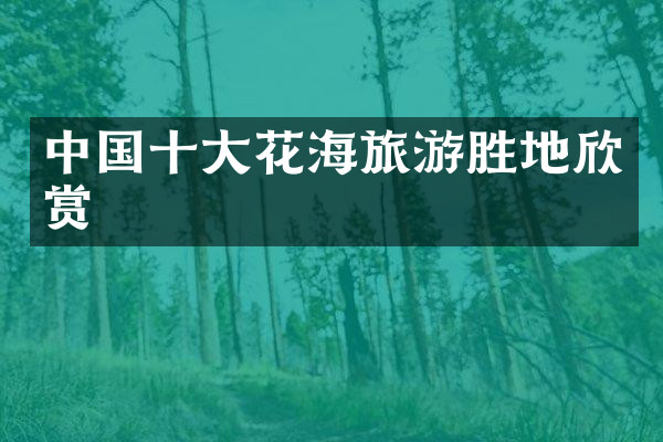 中国十大花海旅游胜地欣赏
