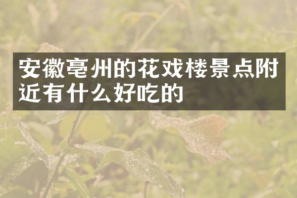 安徽亳州的花戏楼景点附近有什么好吃的
