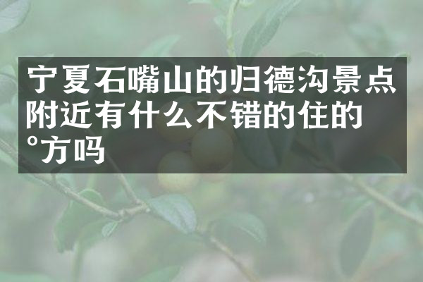 宁夏石嘴山的归德沟景点附近有什么不错的住的地方吗