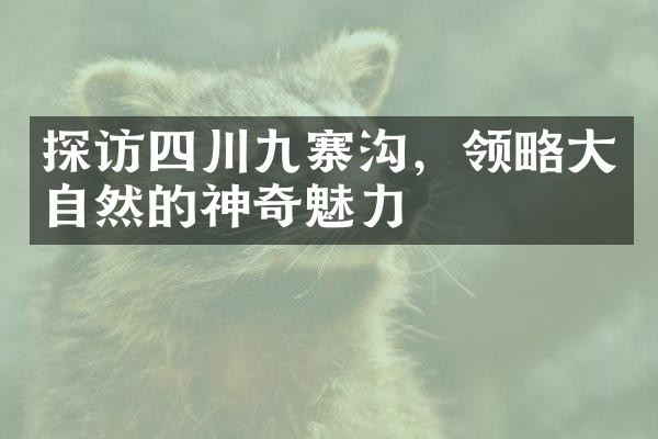 探访四川九寨沟，领略大自然的神奇魅力