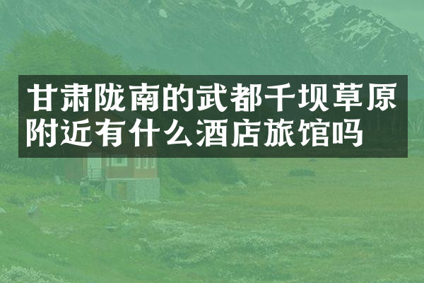 甘肃陇南的武都千坝草原附近有什么酒店旅馆吗