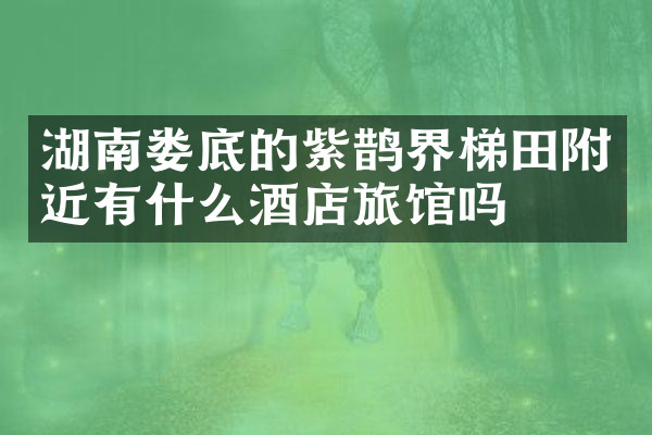 湖南娄底的紫鹊界梯田附近有什么酒店旅馆吗