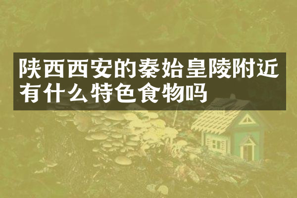 陕西西安的秦始皇陵附近有什么特色食物吗