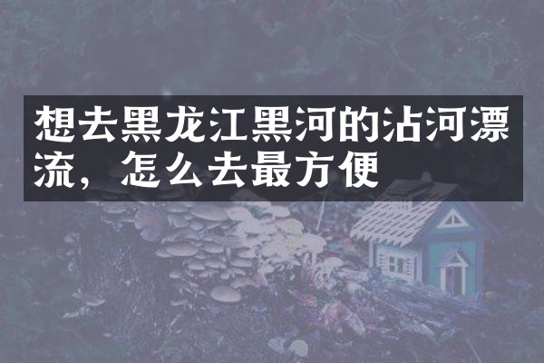想去黑龙江黑河的沾河漂流，怎么去最方便