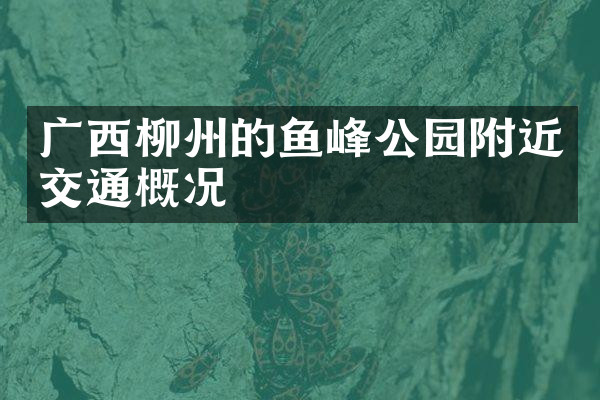 广西柳州的鱼峰公园附近交通概况