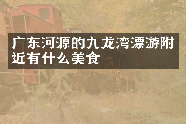 广东河源的九龙湾漂游附近有什么美食